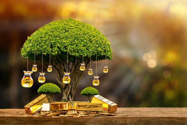 istockphoto-1312681358-612x612