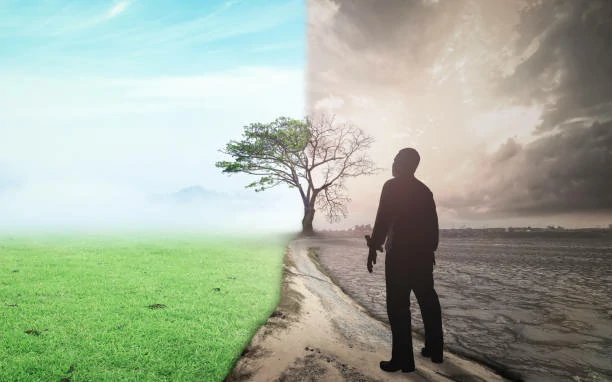 istockphoto-922735810-612x612