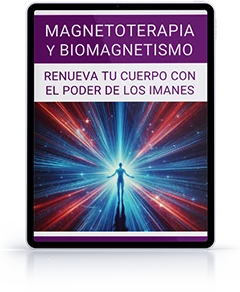 bono10-msc